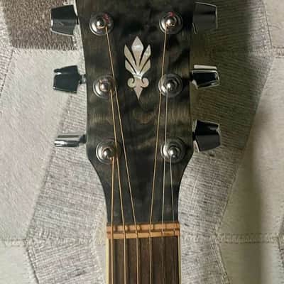 Ibanez AEG Series AEG25E Acoustic Electric Guitar - Includes gig bag, strap with locks and new pick. image 5