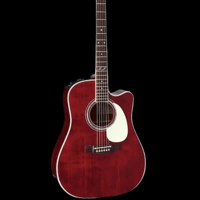 TAKAMINE EAN-46C acoustic guitars for sale in Germany | guitar-list