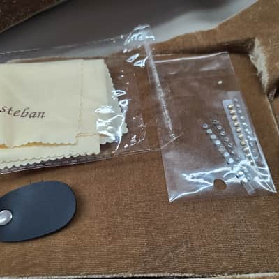 Estaban Rock On Collection 2009 Limited Edition Acoustic/Electric Amber Ice Guitar Extremely Rare image 15