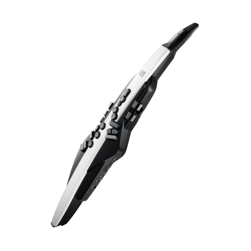 Roland AE-20 Aerophone Digital Wind Instrument image 1