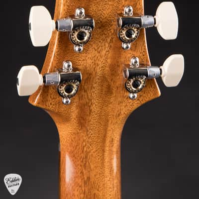 PRS 40th Anniversary Custom 24 Limited Edition - Tiger Eye image 8