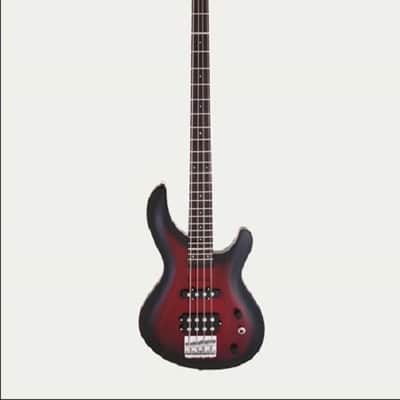 ARIA/ARIA PRO II INTEGRA (IGB) SERIES bass guitars
