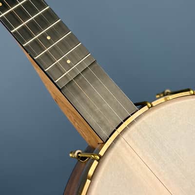 Pisgah Roscoe 5-String Banjo image 14