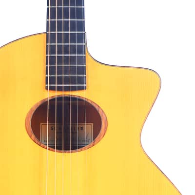 Schertler SM Acoustic Guitar – A Rare Gem in Electro-Acoustic Innovation - check video! image 3