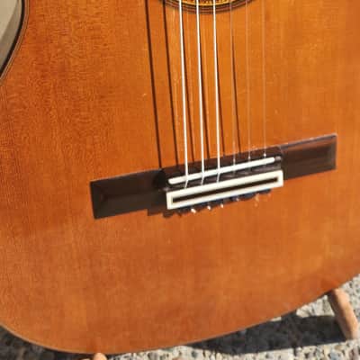 Yamaha GC-50X Classical Guitar ex. Angel Romero, Cedar, Brazilian Rosewood and Fustero Tuners image 2