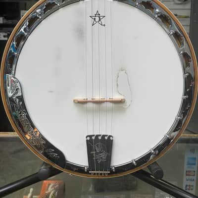 White Swallow Southern Cross Special 5 String Banjo 2007 image 2