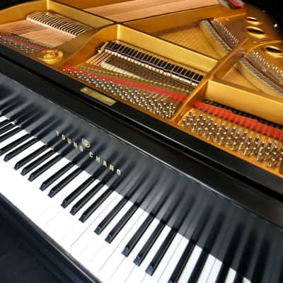 Young Chang G175 Baby Grand Piano Ebony Satin image 8