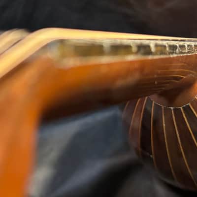 American Conservatory Lyon & Healy Bowl Back Mandolin - Early 1900s - Brazilian Rosewood - Great Player - Ship FREE!!! image 17