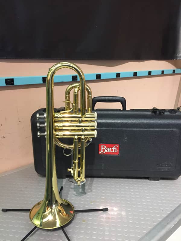 Bach CR301H Student Model Cornet image 1