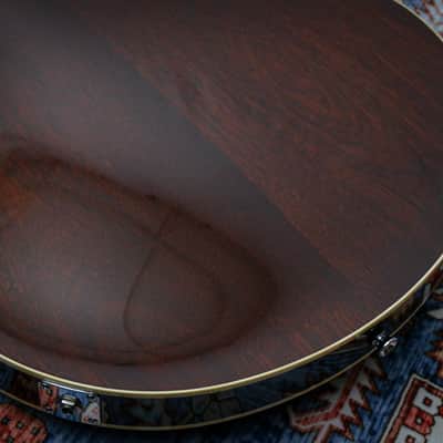COLLINGS USA SoCo Deluxe Semi-Hollow "Tobacco Burst + Rosewood" (2023) image 15