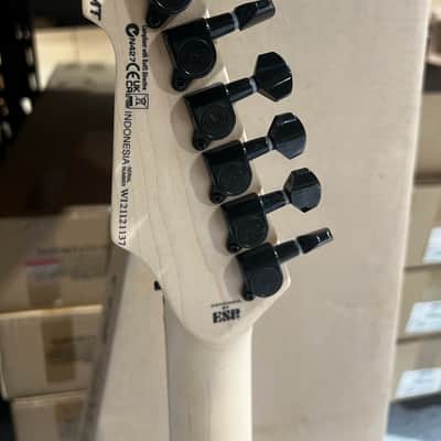ESP LTD George Lynch GL-200MT Electric Guitar - Tiger Stripe image 6