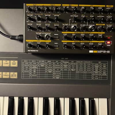 Roland JX-8P 61-Key Polyphonic Synthesizer (serviced at LA Synth Co. + Retroaktiv MPG-8 Controller) image 3