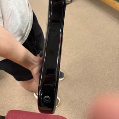 Kramer Baretta feral cat 2018-2023 - Feral cat leopard finish image 8