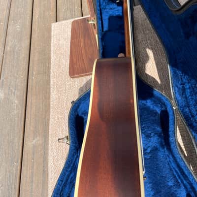 Taylor DN3 2006 - 2012 - Natural image 10