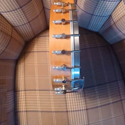 Tut Taylor Tennessee 5 String Banjo image 7