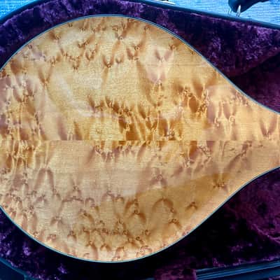 Collings MT2 Birdseye Maple/ Italian Spruce Honey Amber 2018 - Full high-gloss nitrocellulose lacquer finish image 5