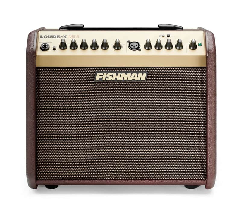 Fishman Loudbox Mini with Bluetooth 2-Channel 60-Watt 1x6.5" Acoustic Guitar Amp image 1