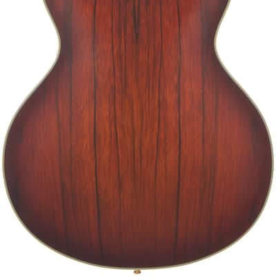 D'Angelico Deluxe DC Satin Brown Burst w/Case image 2