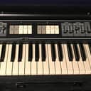 Vintage Roland RS-202 Strings/Keyboard w/Flight Case