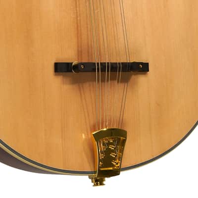 Gold Tone OM-800+/L Arched Solid Spruce Octave&Mahogany Neck Mandolin w/Hard Case For Lefty Players image 6