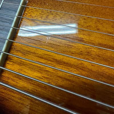 GOLD TONE LS-8 8-string electric lap steel guitar new B-stock w/ Hard Case image 13