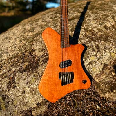 Polar Guitars Multiscale Handmade in Sweden image 1