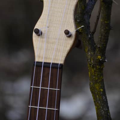 Waiz Gourd Ukulele 2022 image 2