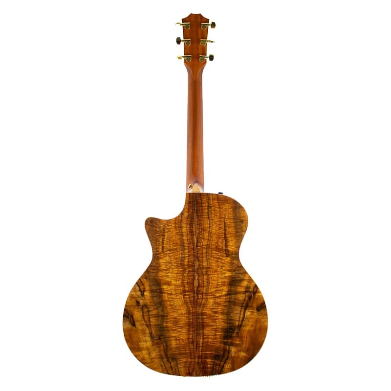 Taylor K24ce (2007 - 2013) image 2