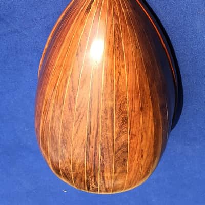 F.lli Vinaccia Mandolin 1927 Made in Italy image 16