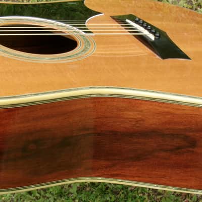 1973 Yairi YW600G Grammer Guitar Style New Jacaranda - Natural+Flight Case image 22