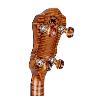 Pre-order OME Ikon 5-String Banjo 2026 image 8