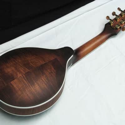 GOLD TONE GM-6+ GM6+ LEFT HANDED acoustic electric MANDOLIN w/ CASE - LEFTY image 6