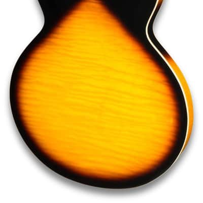Tokai ES224 Nitro ES335 image 5