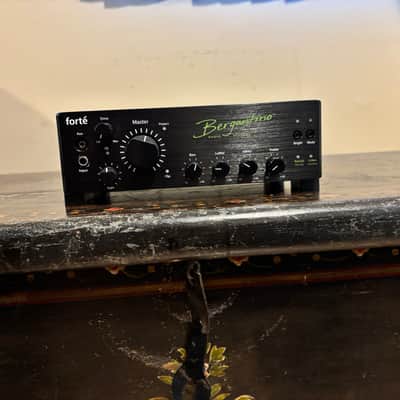 Bergantino Forte D 800-Watt Bass Head image 2
