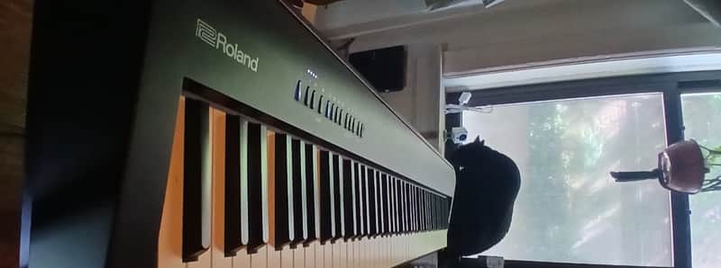 Roland FRP Nuvola Digital Piano Keyboard 88 keys piano with speakers 2026 model