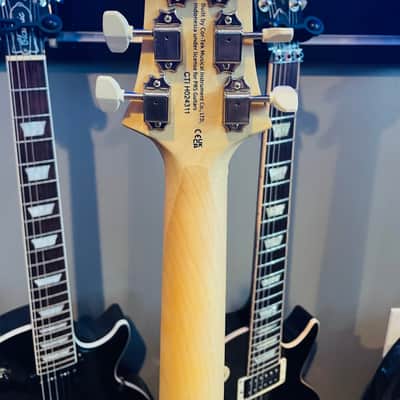 PRS SE NF 53 2025 - Present - White Doghair image 4