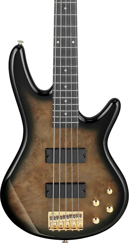 Ibanez GSR205PC GIO 5-String Bass Guitar, Purpleheart Fingerboard, Transparent Pale Black Burst image 1