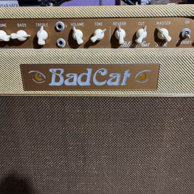 BadCat Blackcat R30 2000-2001 (Sampson Era) - Tweed with Gold Faceplate and Gold Grill Cloth image 16