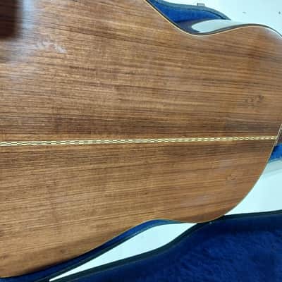 Hascal Haile Dreadnought 1979 - Natural image 3