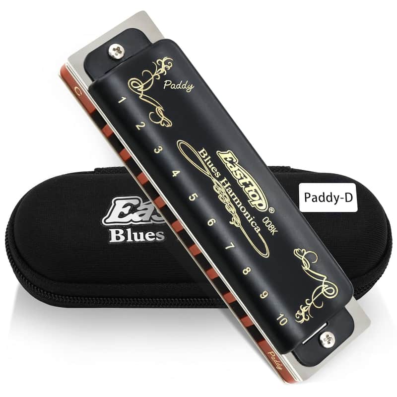 2025 Unbranded 10 Holes 20 Tones 008K Blues Professional Diato...