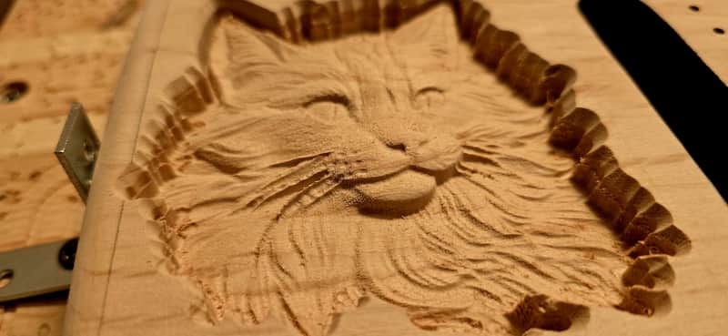 Body mit Katze Stratocaster Stil E-Gitarre image 1