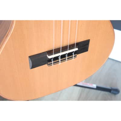 Kala KA-ASCP-T Solid Cedar Top Pau Ferro Tenor Ukulele – Satin Finish image 4