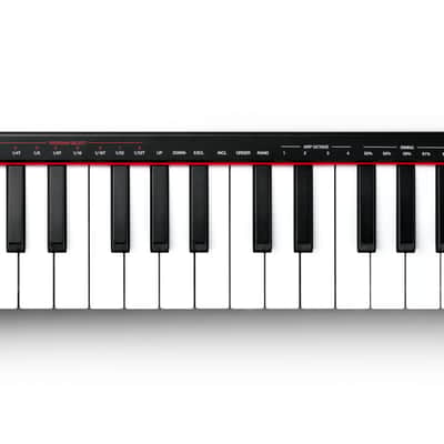 Immagine AKAI PROFESSIONAL LPK 25 MK2 - 3
