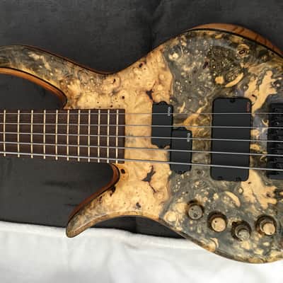 Prana custom bass PC-Buckeye burl 5str.  2014 Clear image 6