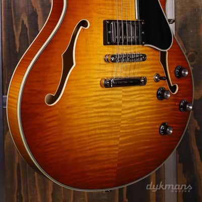 Eastman T-486 Gold Burst image 3