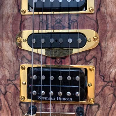 Brian Moore Custom Shop C90 1999 with Full Graph Tech Hexp/Acousti - many extras image 8