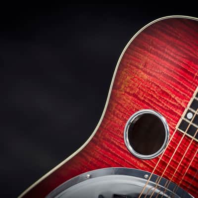 National Scheerhorn Figured Maple Roundneck 2019 image 20
