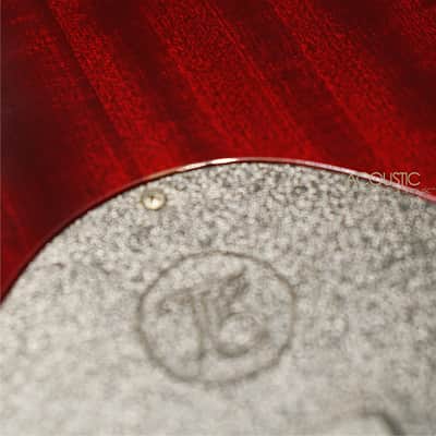 Taylor T5 Pro – Borrego Red 2013 image 12