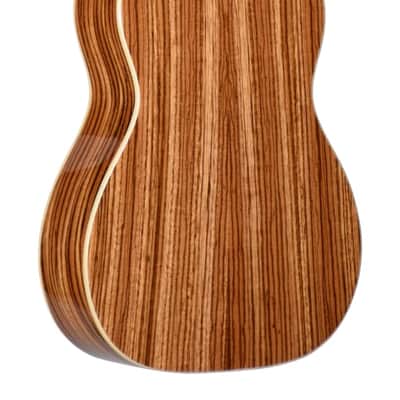 Teton TB160ZWG Baritone Ukulele, soild spruce top, zebra wood back & sides image 2