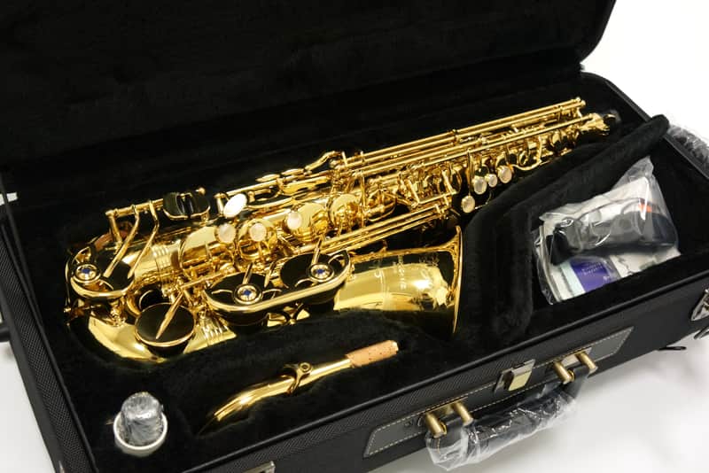 【Special price】 Yanagisawa A-WO10 [AW010] Professional Alto Saxophone image 1